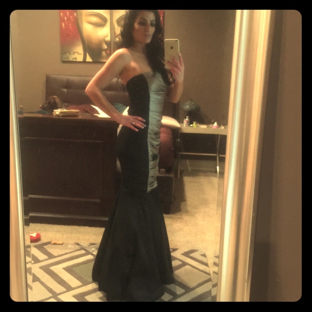 Amazing Vera Wang formal evening gown altered